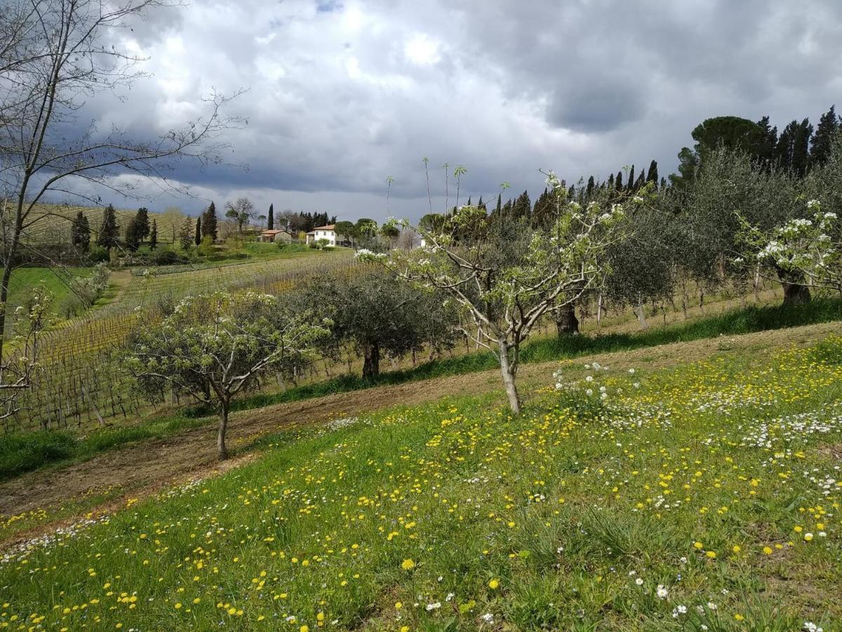 Agriturismo Ca'De'Gatti فينْتْسا المظهر الخارجي الصورة