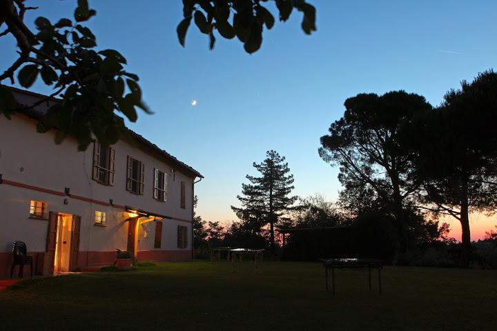 Agriturismo Ca'De'Gatti فينْتْسا المظهر الخارجي الصورة