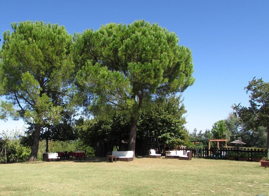 Agriturismo Ca'De'Gatti فينْتْسا المظهر الخارجي الصورة