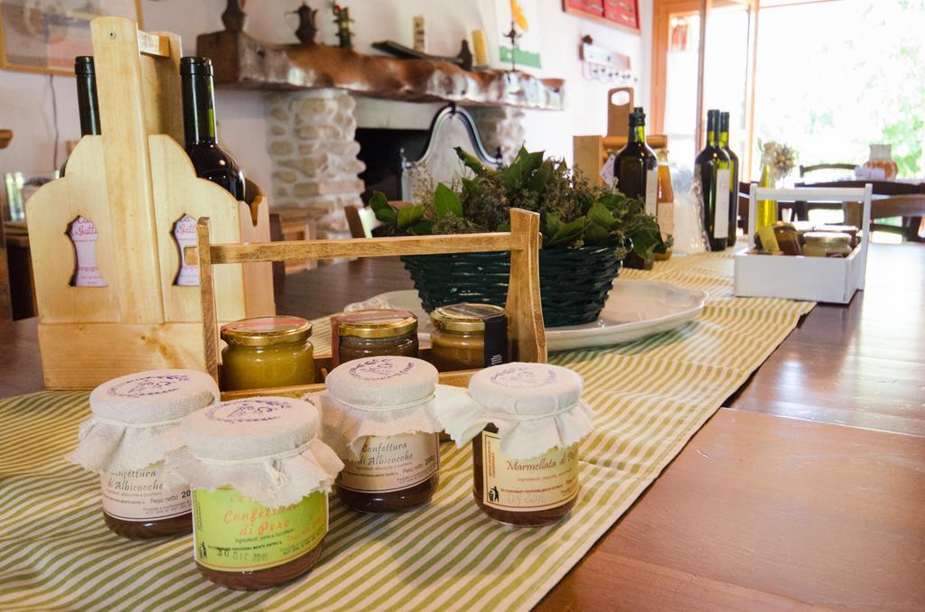Agriturismo Ca'De'Gatti فينْتْسا المظهر الخارجي الصورة