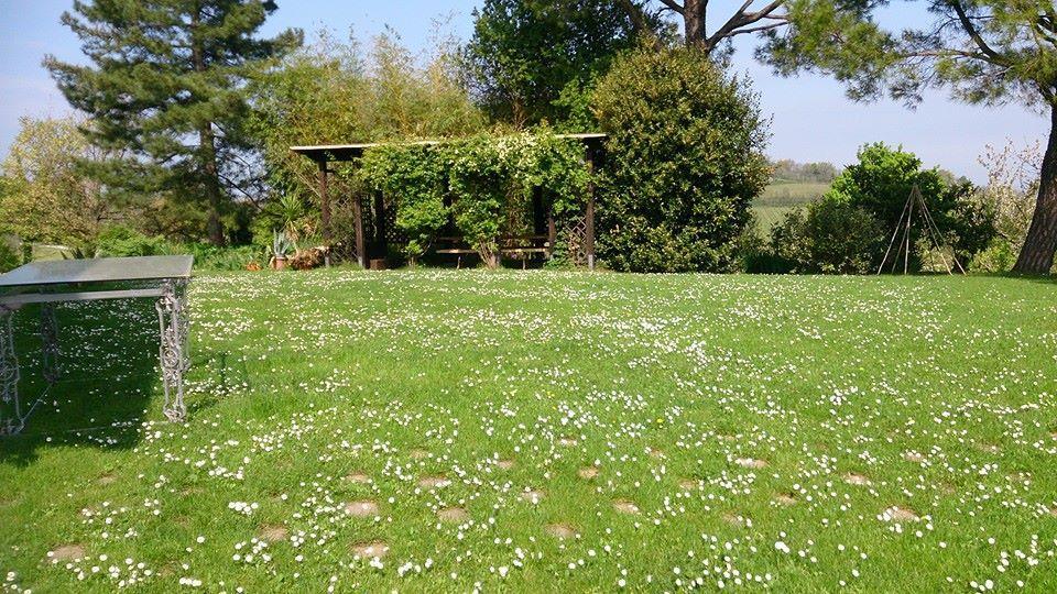 Agriturismo Ca'De'Gatti فينْتْسا المظهر الخارجي الصورة
