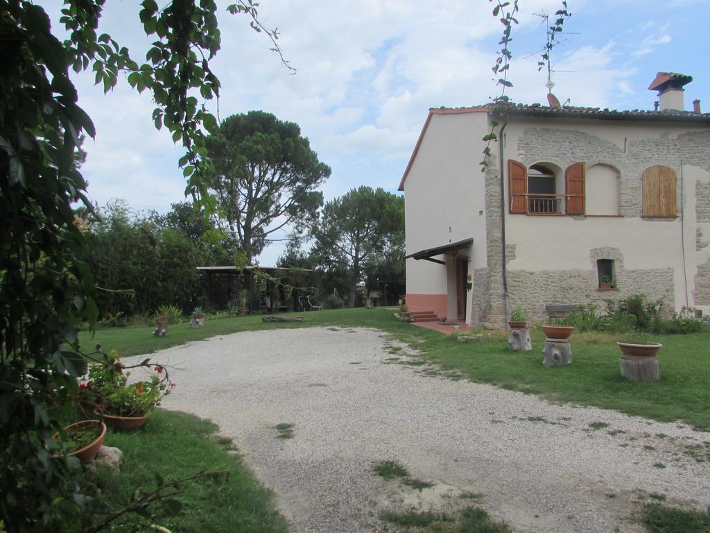 Agriturismo Ca'De'Gatti فينْتْسا المظهر الخارجي الصورة