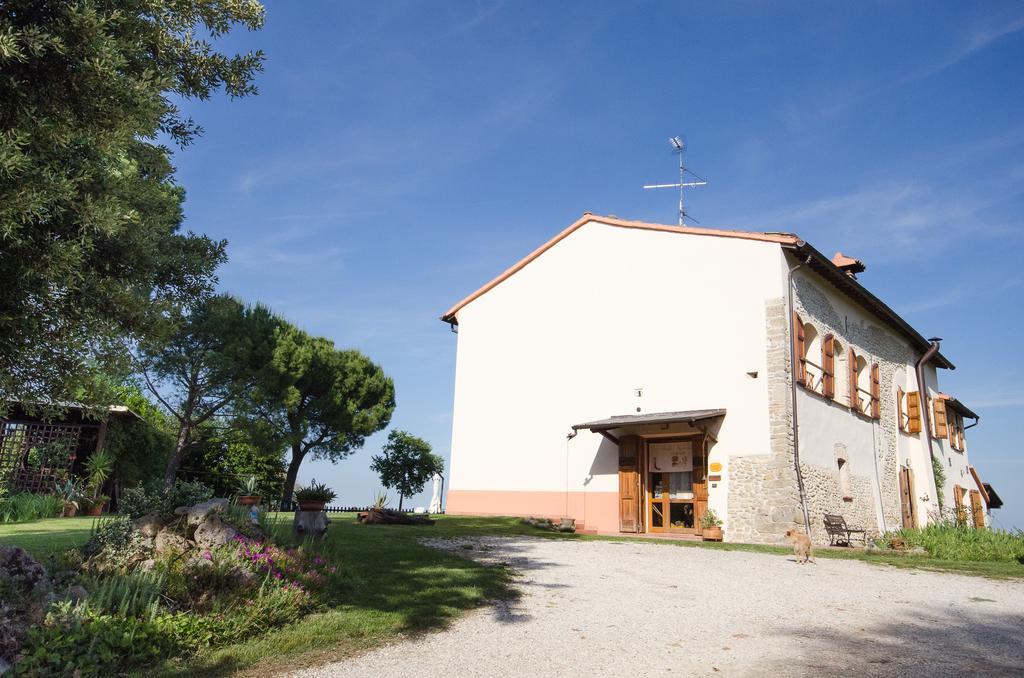 Agriturismo Ca'De'Gatti فينْتْسا المظهر الخارجي الصورة