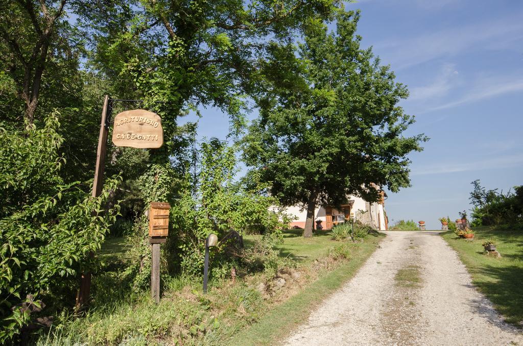 Agriturismo Ca'De'Gatti فينْتْسا المظهر الخارجي الصورة